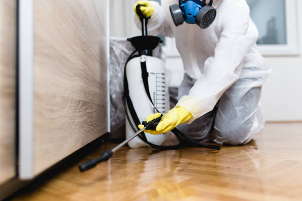 Pest Control for Restaurants in Bridgeport, PA