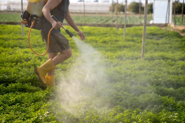 Best Affordable Pest Control Services  in Bridgeport, PA
