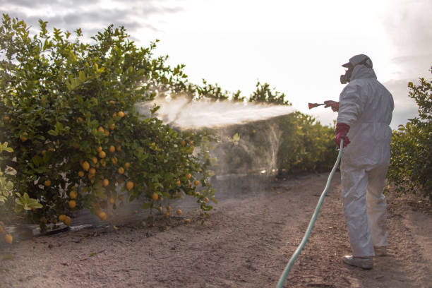Best Bed Bug Extermination  in Bridgeport, PA