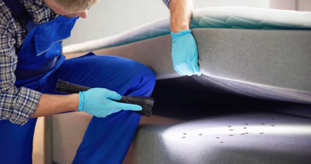 Best Affordable Pest Control Services  in Bridgeport, PA