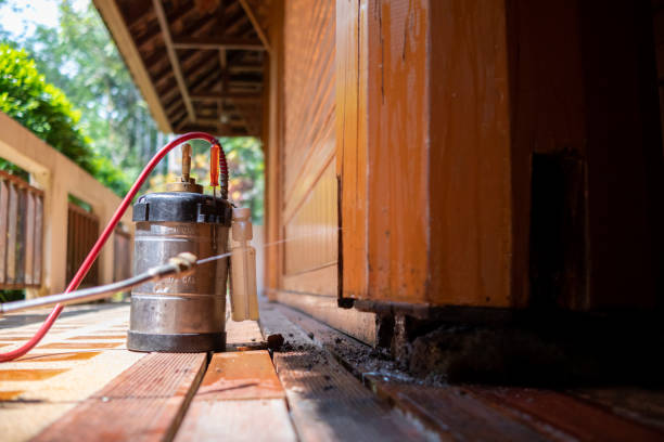 Wasp Removal Services in Bridgeport, PA